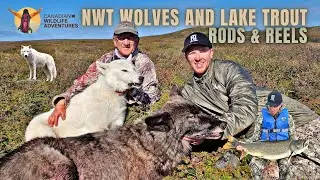 Rods to Reels | NWT Wolves and Lake Trout
