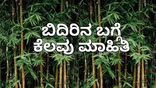 Bamboo information in kannada