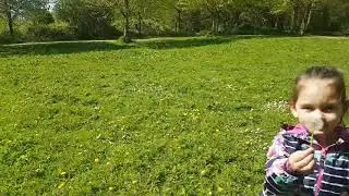 A drive and a walk in a sunny spring park/Поездка и прогулка в солнечном весеннем парке