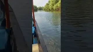 Как я ловила крабов в Гоа😃 #гоа #goa #рыбалка #путешествия