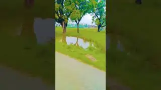 Splendor Bike Video WhatsApp Status Reels Video YouTube#shortsfeed#shrorts#video