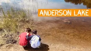 Anderson Lake County Park: Easy Family-Friendly, Dog-Friendly South Bay Hike
