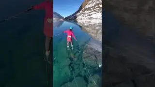Wild Ice Skating on Thin Ice