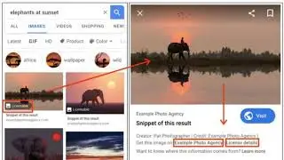 Google adds new image license metadata for licensable image label