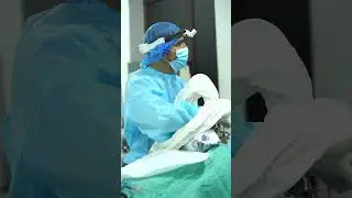 🏥 Dignus klinikasi 2020-yildan buyon, asosan, LOR kasalliklari bo'yicha davolaniladi.