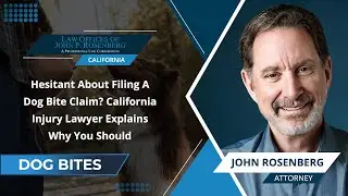 Hesitant About Filing A Dog Bite Claim? California Injury Lawyer Explains Why You Should