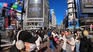 4K Shibuya city walking tour & sightseeing Omotesando. Tokyo, Japan. 