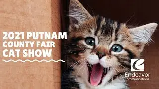 2021 Putnam County 4-H Fair Cat Show