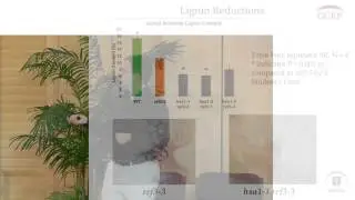 2014 GCEP Distinguished Student Lecturers | Using Plants for Biofuel Production