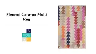 Momeni Caravan Multi Rug - FurnishMyPlace.com