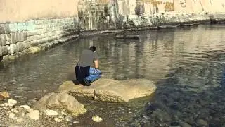 ortigia 2013 - 2