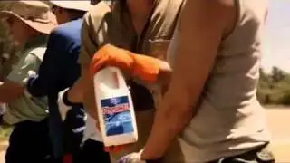 Pauls Milk 