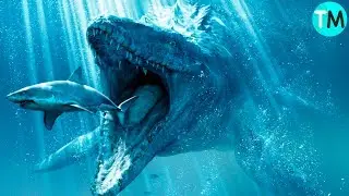 LOS 10 DINOSAURIOS M&aacute;s GRANDES Del Mundo