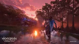 horizon forbidden west late night
