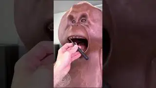 Chocolate Gorilla making challenge|| चॉकलेट से गोरिल्ला बनाया#trendingshorts #viral #shorts #short