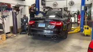 B8.5 Audi S4 Vibrant / Magnaflow Custom Exhaust - gutted cats