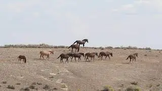 Band on the Move - September 2020 - Sand Wash Basin