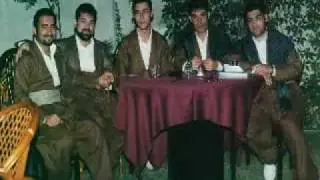 diary barzinjy-amine.mp4