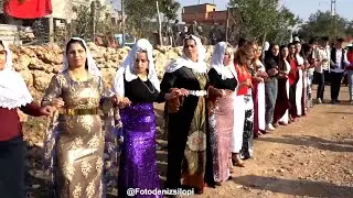 Silopi Düğünleri Vedat Oruç Düğünü  Oruç Ailesinin Mutlu Günü Part 3 Grup Welat Silopi