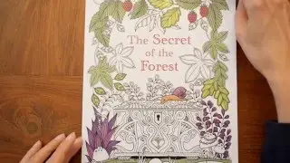Colouring book: The Secret of the Forest - by Alexandra Dannenmann