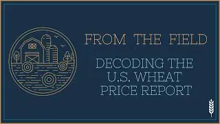 U S  Wheat Price Reports