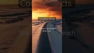 Couples facts: couples who...#shorts #youtubeshorts #couplesfacts