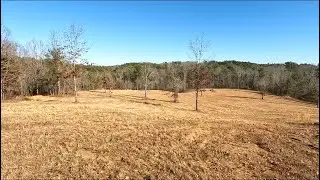Clearing Overgrown Land | Bush Hogging Transformation