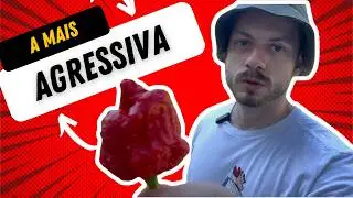 TRINIDAD SCORPION: A Pimenta Mais Agressiva de Todas?
