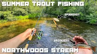 Fishing for Summer Trout in a Small Stream up in the Northwoods of Wisconsin (7-26-2025)