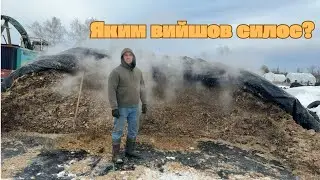 Результати силосування: що пішло не так і що вдалося
