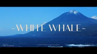 himalion - white whale [SINGLE]