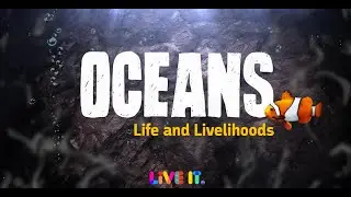 What Oceans Do | Life and Livelihoods - EN TRAILER