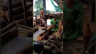 Precision Cutting●The Skills of a Top Rubber Wood Operator