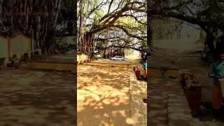 Do you know what this location is? #location #cinema #movielocations #palakkad #mollywood #movie #movies