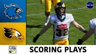 Erfurt Indigos vs. Berlin Adler | Regionalliga Ost | SCORING PLAYS