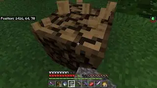 Random moment in Minecraft (read desc)