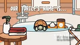 Our turtle's name is... ⛄💕 Ty Itz Toca Bella ♡ for the name idea!