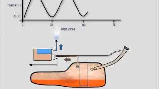 MWV Specialty Chemicals Automotive Carbons ORVR Diurnal Video