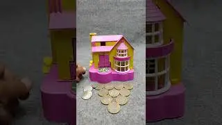 Live Adorable dog house coin 🪙 eating video