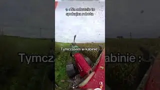 POV: ROZMOWY W KABINIE PRZY ODWOZIE💀🚜#agro #agriculture #kukurydza