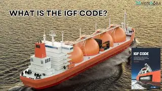 What is the IGF Code? | Quiz answer | #marinaura