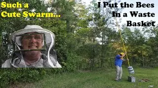 Catching a Swarm | Bees Will Be Bees