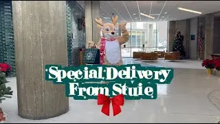 Special Delivery: The gift of a Stuart education