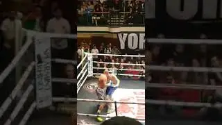 Hamid Sediqi Boxer