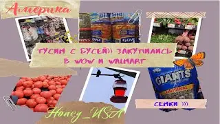 США. Тусим с Бусей. Я нашла его !!! Закупки в WOW и Walmart.