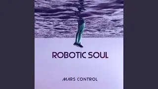 Robotic Soul