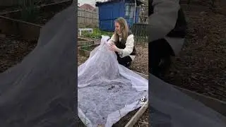 ЛУЧШИЕ СОВЕТЫ ПО САДОВОДСТВУ НА ДАЧНОМ УЧАСТКЕ В МАРТЕ 2023 ГОДА