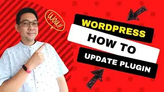 WordPress how to update plugin or enable auto update plugins for you WordPress website