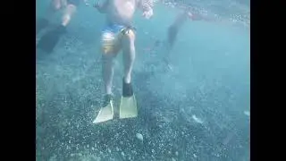 PR Snorkel Video 5/5