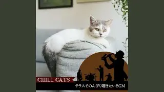 The Theme for Cool Jazz